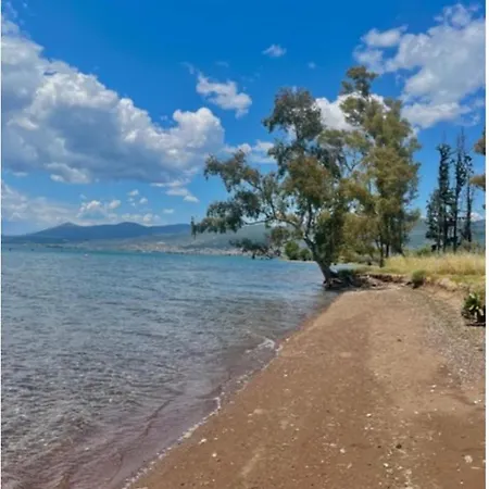 Laguna -house By The