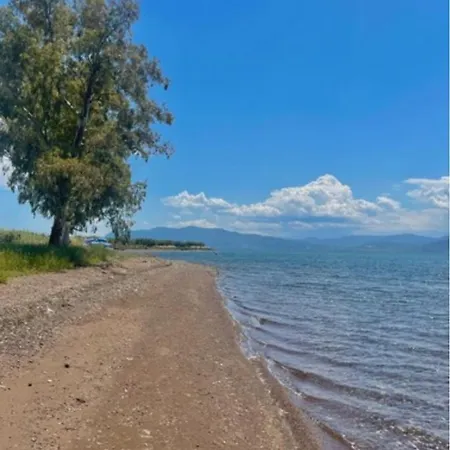 Apartamento Laguna -house By The *