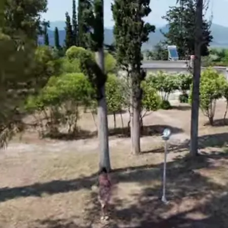 Laguna -house By The