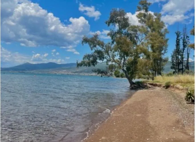 Laguna -house By The