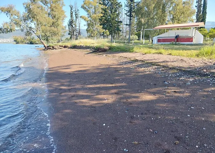 Apartamento Laguna -house By The *