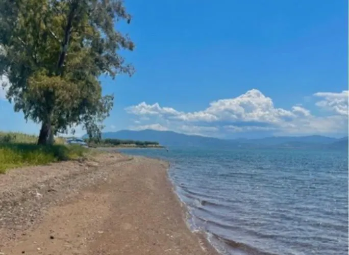 Apartment Laguna -house By The *