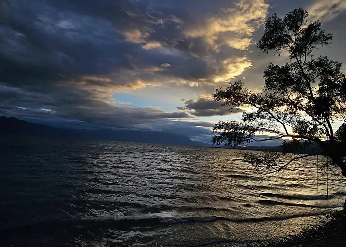 Laguna -house By The Apartamento