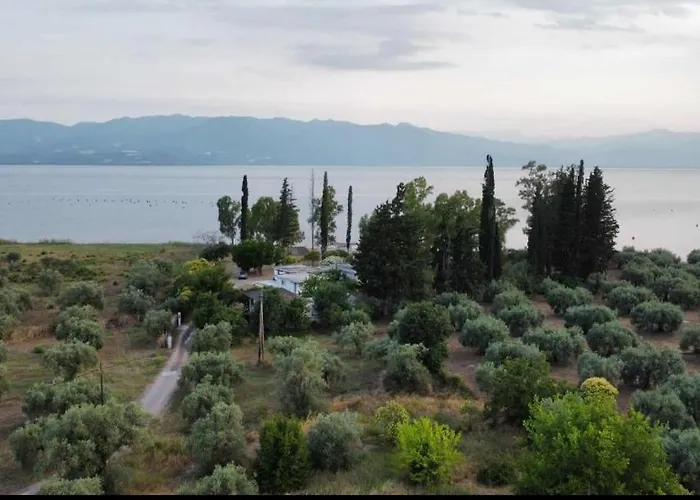 Laguna -house By The Apartamento