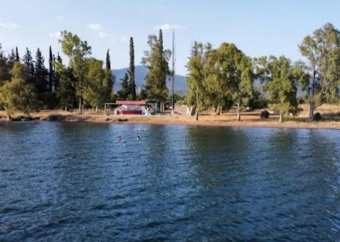 Laguna -house By The Apartamento