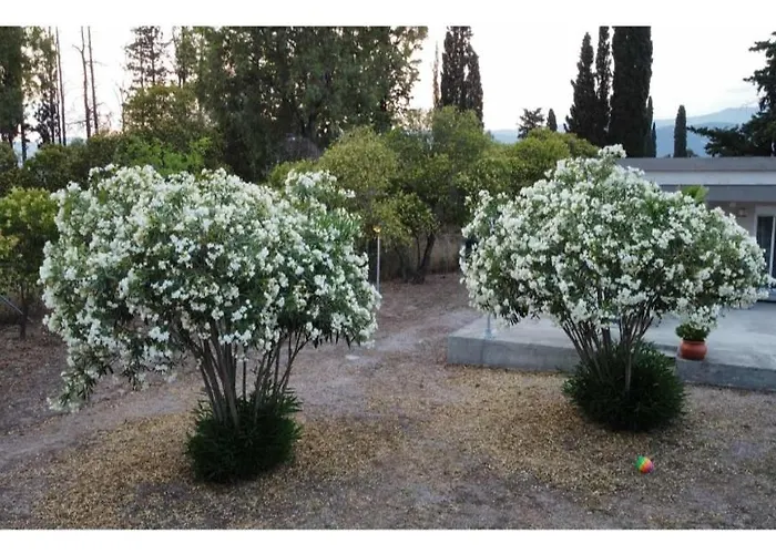 Apartamento Laguna -house By The