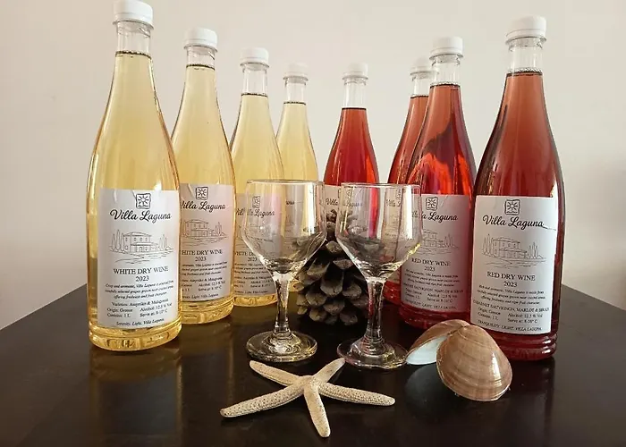 Laguna -house By The Apartamento Karavómilos